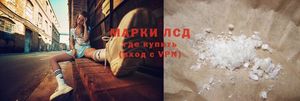 индика Арсеньев