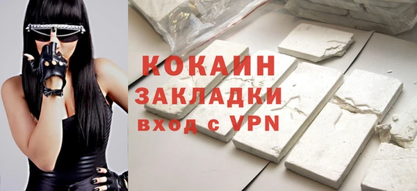 индика Арсеньев