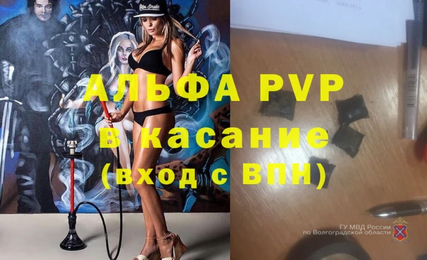 индика Арсеньев