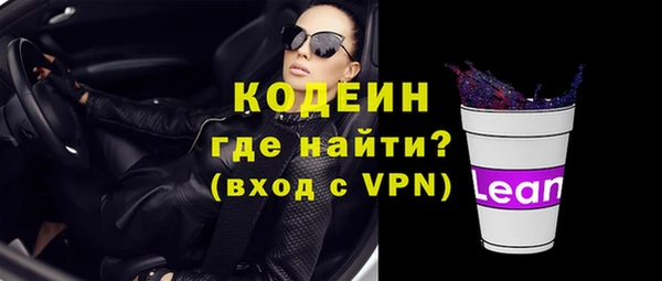 индика Арсеньев