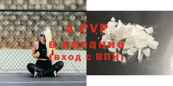 индика Арсеньев