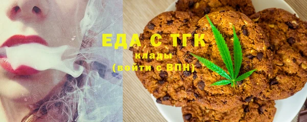 индика Арсеньев