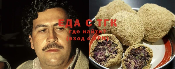 индика Арсеньев
