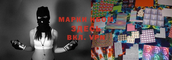индика Арсеньев
