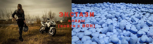 эйфоретик Аркадак